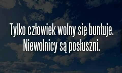 Człowiek.jpg