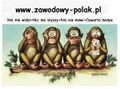 Miniatura wersji z 22:38, 19 lis 2024