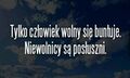 Miniatura wersji z 17:51, 19 lis 2024